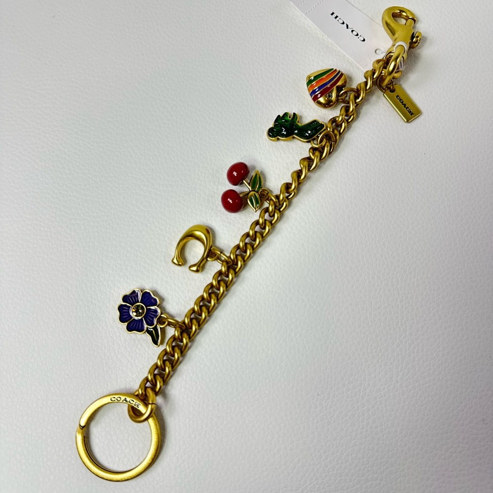 Women’s Coach Gold Chain Motif Key Holder with Decorative Charms - Picture 2 of 6